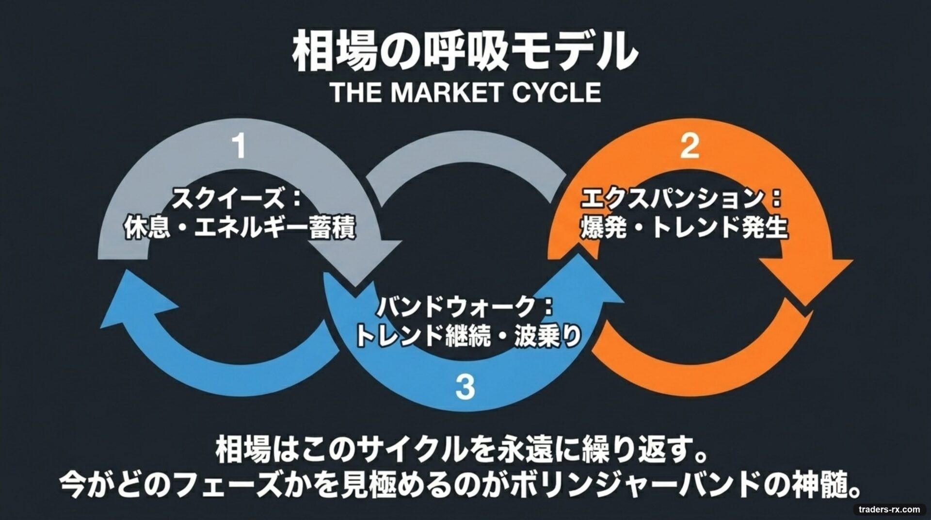 相場の呼吸モデル：スクイーズ → エクスパンション → バンドウォークの永久サイクル
